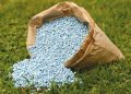Debido a la deshidratación… los agricultores brasileños demoran las compras de fertilizantes para debilitar los planes de siembra de maíz