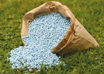 Debido a la deshidratación… los agricultores brasileños demoran las compras de fertilizantes para debilitar los planes de siembra de maíz
