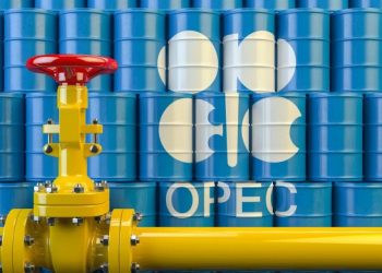 Presidente de Brasil: Nunca trataremos de unirnos a OPEP Plus