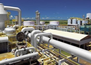 La producción de azúcar en Brasil aumenta un 35% durante la segunda quincena de noviembre