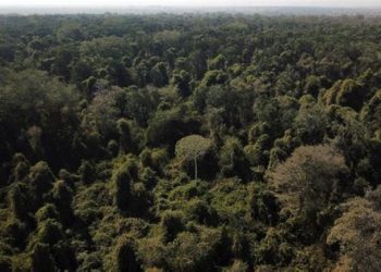 Noruega ofrece 50 millones de dólares al Fondo Amazonas de Brasil