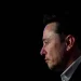 Elon Musk allana el camino para el lanzamiento de Tesla al mundo de la inteligencia artificial