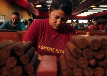 Cigarros de Nicaragua: Calificados como los mejores con mayor participación de mercado
