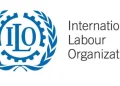 La Organización Internacional del Trabajo predice que el desempleo mundial empeorará en 2024