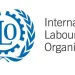 La Organización Internacional del Trabajo predice que el desempleo mundial empeorará en 2024