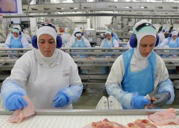 El gigante brasileño de la carne y las aves de corral JBS planea una inversión de 2 mil millones de dólares en Arabia Saudita