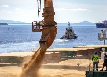 Las exportaciones del sector agrícola brasileño alcanzan los $166,5 mil millones en 2023