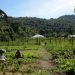 La superposición de propiedades rurales y bosques en Brasil: una preocupación creciente