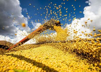 Conab espera una disminución en la producción de granos en Brasil para la temporada 2023/2024.