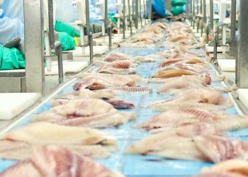 Las exportaciones de pescado de Brasil alcanzan los 24.7 millones de dólares en 2023, a pesar de una disminución en el volumen.