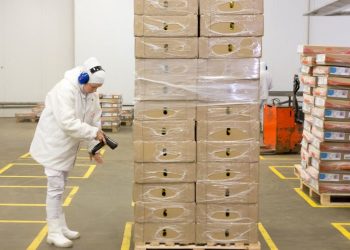 Aumento en las exportaciones de pollo a los Emiratos Árabes Unidos y Arabia Saudita.