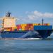 container ship, container transport, seagoing vessel