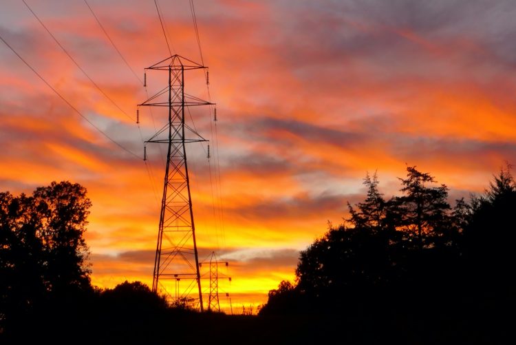 a tall tower sitting in the middle of a forest