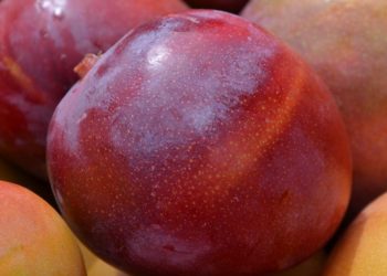 Las exportaciones brasileñas de frutas alcanzan un récord en 2023