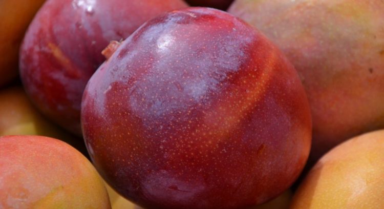 Las exportaciones brasileñas de frutas alcanzan un récord en 2023