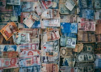 assorted-denomination banknote lot