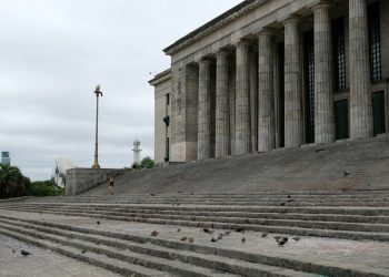 a bunch of birds that are sitting on some steps