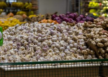brown and white stones on green plastic crate