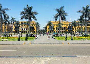 people walking on sidewalk near palm trees during daytime