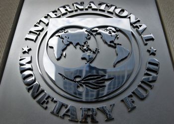 Argentina y el FMI en Conversaciones: Navegando la Recuperación Económica en Medio de Restricciones de Capital