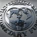 Argentina y el FMI en Conversaciones: Navegando la Recuperación Económica en Medio de Restricciones de Capital