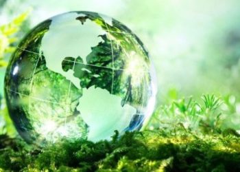 Brasil apunta al mercado de bonos verdes para impulsar ganancias económicas y ambientales