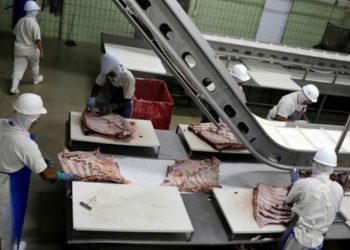 Agitación financiera en el mayor frigorífico de Paraguay: lecciones de transparencia y rendición de cuentas