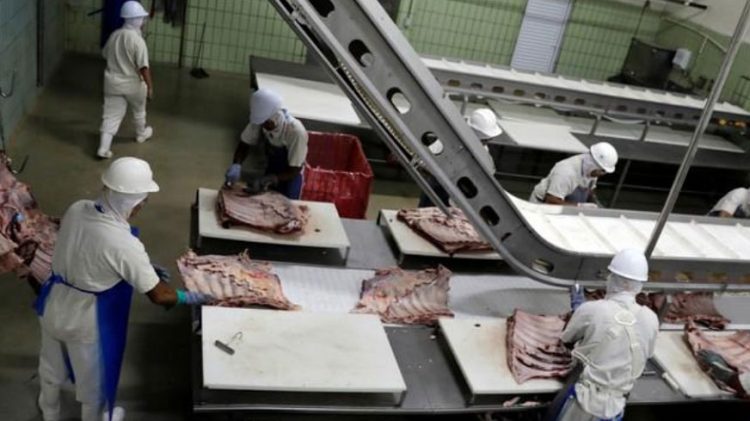 Agitación financiera en el mayor frigorífico de Paraguay: lecciones de transparencia y rendición de cuentas