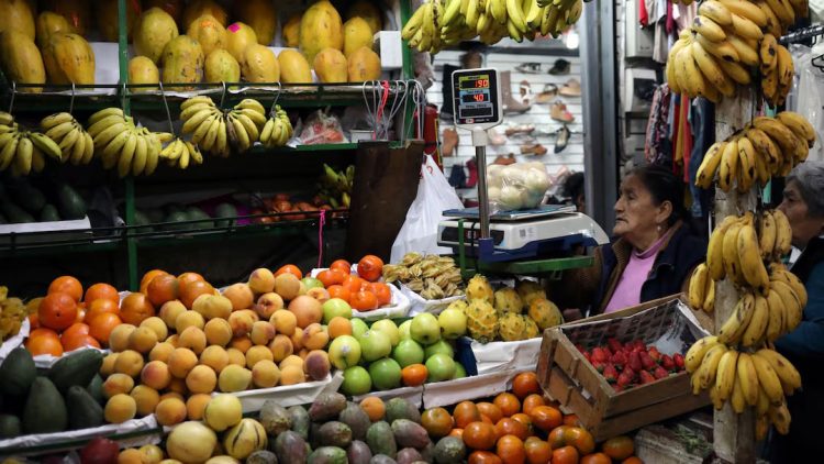 Navegando por el panorama económico del Perú: perspectivas y estrategias a medida que la inflación disminuye