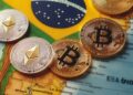 Brasil alcanza un récord de $12,900 millones en importaciones de criptomonedas hasta septiembre de 2024, impulsado por stablecoins