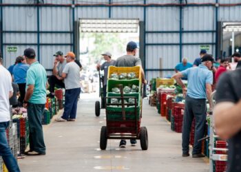 La Inflación en Brasil Aumenta en Medio del Incremento de Precios de Electricidad y Alimentos