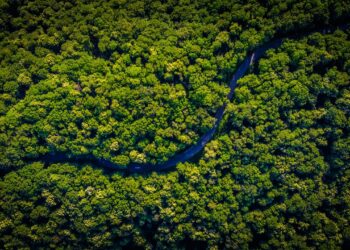 Brasil se Acerca a un Mercado de Carbono Regulado con la Aprobación de un Nuevo Proyecto de Ley por el Senado