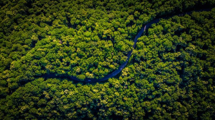 Brasil se Acerca a un Mercado de Carbono Regulado con la Aprobación de un Nuevo Proyecto de Ley por el Senado